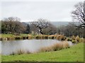 Pond at Mill Brow, Marple