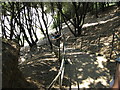 SZ2092 : Steps to the beach - Friars Cliff by Mr Ignavy