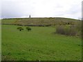 Carrickadeevan Townland