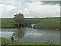 New River Ancholme