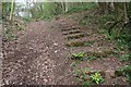 SO7637 : Obsolete Steps to Midsummer Hill by Bob Embleton