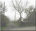 Mist shrouded private road leading to Bodowen