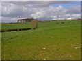 Pasture near Plumpton