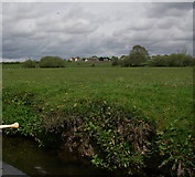SZ1498 : Meadows beside the river Avon by Barry Deakin