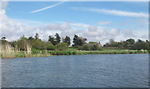 SZ1596 : River Avon between Sopley and Winkton by Barry Deakin