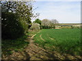 Field edge and footpath towards the A28 Ashford Road