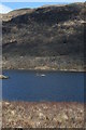 NM6751 : Eilean nan Eun, Loch Arienas by Peter Bond