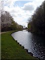 SE2834 : Leeds & Liverpool Canal, spring by Rich Tea