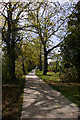 Footpath at side of Worlds End, Enfield