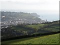 Fields above Ringmore, with Teignmouth