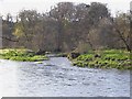 The Mouth of the Allan Water as it runs into the River Tweed