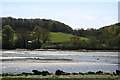 Yealmpton: south east from Kitley Quay