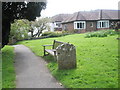 Bench in Rogate Churchyard