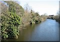 Royal Military Canal