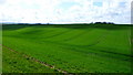 SY7193 : Farmland on Slyers lane by Nigel Mykura
