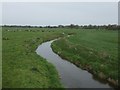 River Tern upstream of the bridge at Stoke on Tern