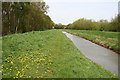 Ox Pasture Drain