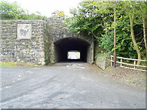 J0154 : The tunnel at Hoy's Meadow by HENRY CLARK