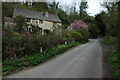 Cottage in Tunley