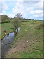 Afon Cadnant near Llandegfan Church