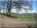 Farmland near Cae Whildin