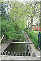 Golden Brook Enters the Tamworth Road Culvert