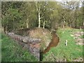 River Tern passing under A53 bridge