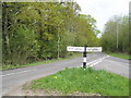 Looking from the Harting Junction back towards Nyewood