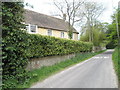 Lovely lane in East Harting