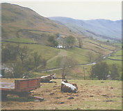 NY4318 : Cotehow by Stephen Craven