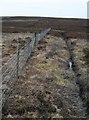 SE0269 : Fence Across Priests Tarn Hill by Steve Partridge