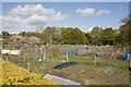 Allotment Gardens, Nutburn Road, North Baddesley