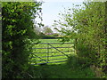 Gate near Cockerell