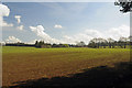 Farmland and Trees