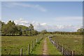 Footpath approaching Baddesley Common