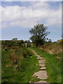 Kissing Gate - Hadrians wall path