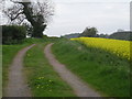 Footpath behind the pub