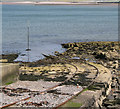 Tracks into Ballyholme Bay