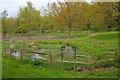 Pond, Denny Bottom