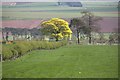 Farmland near Glen Farg