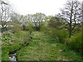 Hatherton Canal  near Wedges Mills, Staffordshire