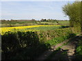 View across fields to Crundale church