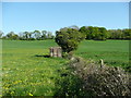 Hut in a field