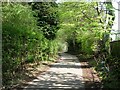 Footpath - Alwoodley Lane