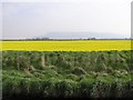 Broglasco Townland