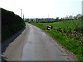 Ballycoan Road near Carryduff [2]