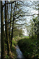 Stream on the edge of Twemlows Big Wood