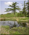 Upper Torrs Pond