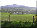 Glebe Townland