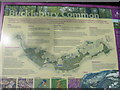 Map of Bucklebury Common